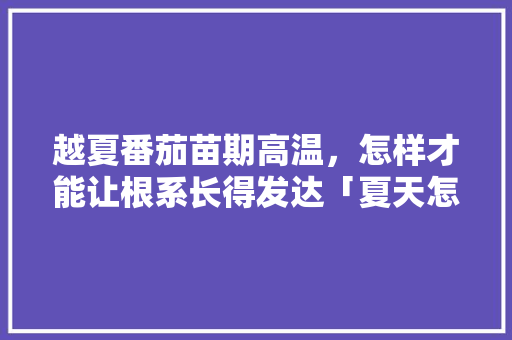 越夏番茄苗期高温，怎样才能让根系长得发达「夏天怎么种植小番茄苗子呢」 越夏番茄苗期高温，怎样才能让根系长得发达「夏天怎么种植小番茄苗子呢」 番茄病虫害防治