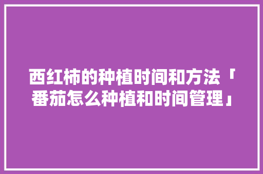 西红柿的种植时间和方法「番茄怎么种植和时间管理」 西红柿的种植时间和方法「番茄怎么种植和时间管理」 番茄种植技巧
