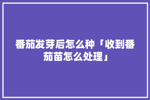 番茄发芽后怎么种「收到番茄苗怎么处理」 番茄发芽后怎么种「收到番茄苗怎么处理」 番茄病虫害防治