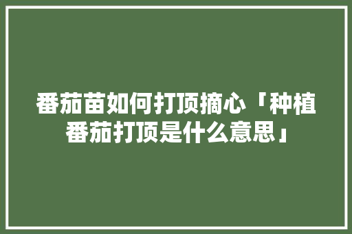番茄苗如何打顶摘心「种植番茄打顶是什么意思」 番茄苗如何打顶摘心「种植番茄打顶是什么意思」 花朵知识