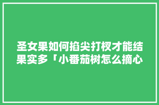 圣女果如何掐尖打杈才能结果实多「小番茄树怎么摘心种植视频」