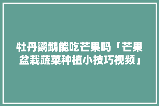 牡丹鹦鹉能吃芒果吗「芒果盆栽蔬菜种植小技巧视频」 牡丹鹦鹉能吃芒果吗「芒果盆栽蔬菜种植小技巧视频」 番茄种植技巧