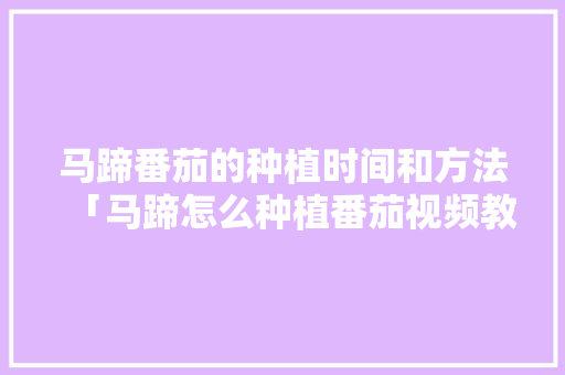 马蹄番茄的种植时间和方法「马蹄怎么种植番茄视频教程」 马蹄番茄的种植时间和方法「马蹄怎么种植番茄视频教程」 番茄病虫害防治
