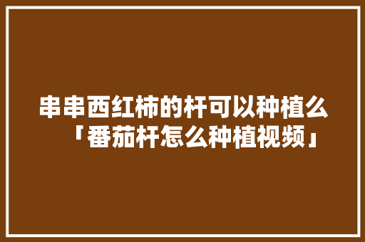 串串西红柿的杆可以种植么「番茄杆怎么种植视频」 串串西红柿的杆可以种植么「番茄杆怎么种植视频」 植物种类