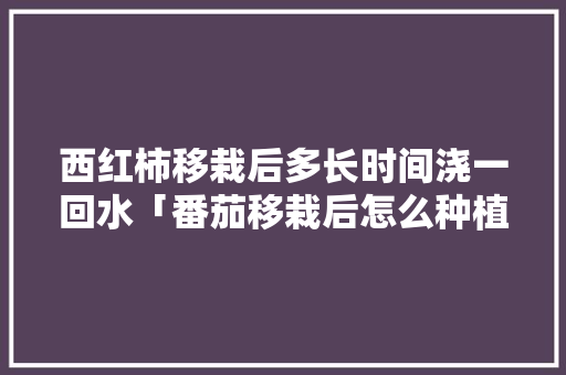 西红柿移栽后多长时间浇一回水「番茄移栽后怎么种植视频」 西红柿移栽后多长时间浇一回水「番茄移栽后怎么种植视频」 植物种类
