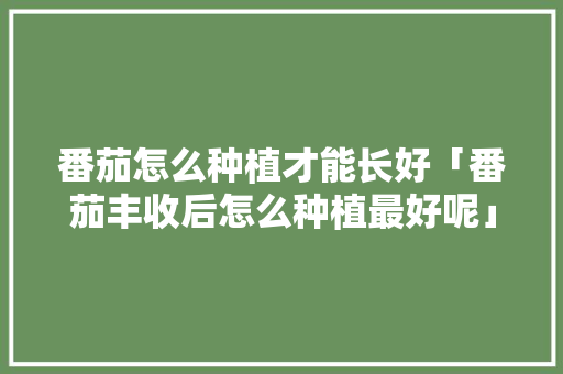 番茄怎么种植才能长好「番茄丰收后怎么种植最好呢」 番茄怎么种植才能长好「番茄丰收后怎么种植最好呢」 农业常识
