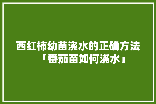 西红柿幼苗浇水的正确方法「番茄苗如何浇水」 西红柿幼苗浇水的正确方法「番茄苗如何浇水」 花朵知识