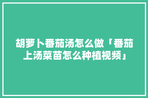 胡萝卜番茄汤怎么做「番茄上汤菜苗怎么种植视频」