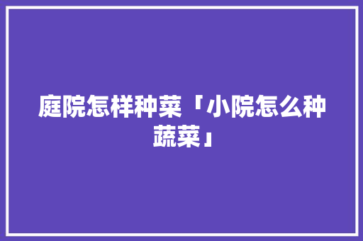 庭院怎样种菜「小院怎么种蔬菜」 庭院怎样种菜「小院怎么种蔬菜」 植物种类