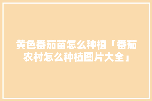 黄色番茄苗怎么种植「番茄农村怎么种植图片大全」 黄色番茄苗怎么种植「番茄农村怎么种植图片大全」 种植技巧