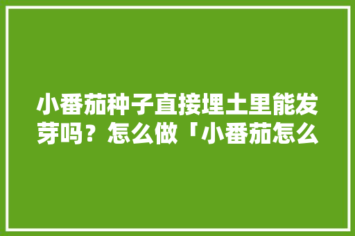 小番茄种子直接埋土里能发芽吗？怎么做「小番茄怎么种植才能出苗快」 小番茄种子直接埋土里能发芽吗？怎么做「小番茄怎么种植才能出苗快」 花朵知识