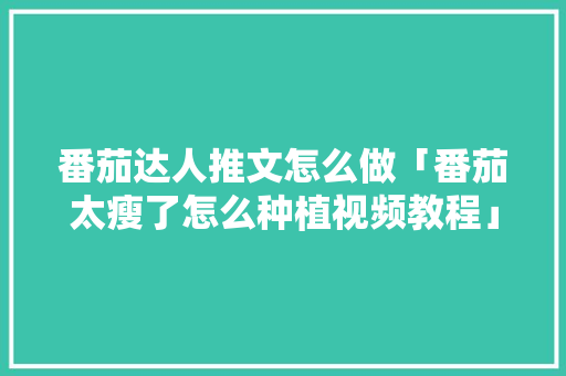 番茄达人推文怎么做「番茄太瘦了怎么种植视频教程」 番茄达人推文怎么做「番茄太瘦了怎么种植视频教程」 农业常识