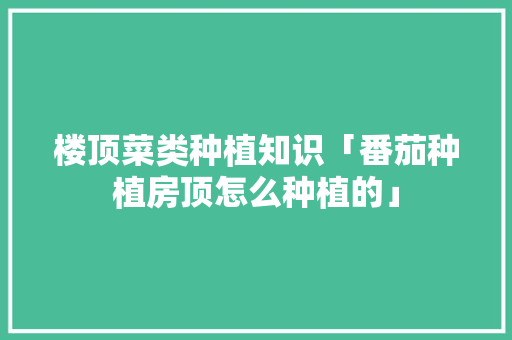 楼顶菜类种植知识「番茄种植房顶怎么种植的」