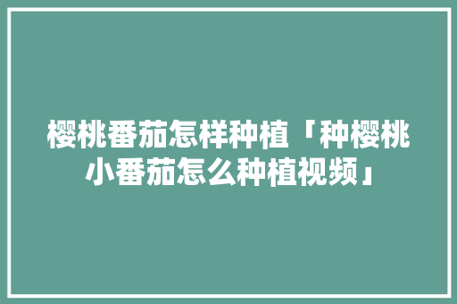 樱桃番茄怎样种植「种樱桃小番茄怎么种植视频」 樱桃番茄怎样种植「种樱桃小番茄怎么种植视频」 番茄种植技巧