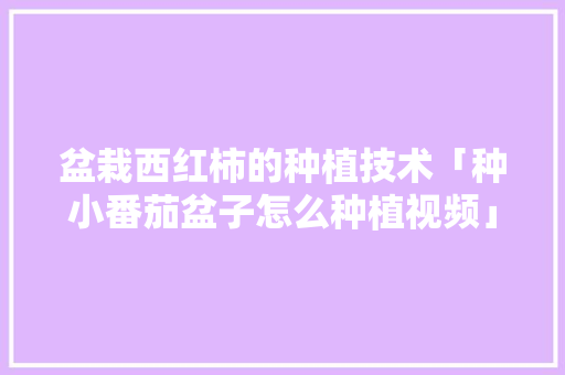 盆栽西红柿的种植技术「种小番茄盆子怎么种植视频」 盆栽西红柿的种植技术「种小番茄盆子怎么种植视频」 番茄种植技巧