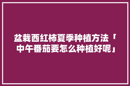 盆栽西红柿夏季种植方法「中午番茄要怎么种植好呢」 盆栽西红柿夏季种植方法「中午番茄要怎么种植好呢」 种植技巧