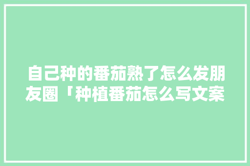 自己种的番茄熟了怎么发朋友圈「种植番茄怎么写文案好听点」 自己种的番茄熟了怎么发朋友圈「种植番茄怎么写文案好听点」 植物种类