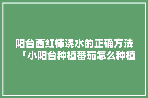 阳台西红柿浇水的正确方法「小阳台种植番茄怎么种植的」 阳台西红柿浇水的正确方法「小阳台种植番茄怎么种植的」 农业常识