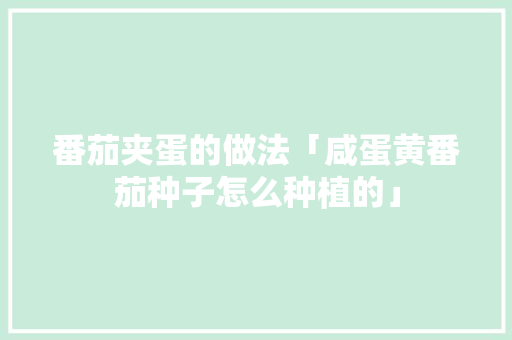 番茄夹蛋的做法「咸蛋黄番茄种子怎么种植的」 番茄夹蛋的做法「咸蛋黄番茄种子怎么种植的」 农业常识