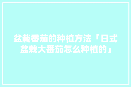 盆栽番茄的种植方法「日式盆栽大番茄怎么种植的」 盆栽番茄的种植方法「日式盆栽大番茄怎么种植的」 植物种类