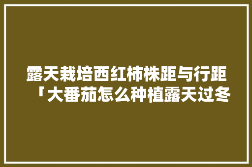 露天栽培西红柿株距与行距「大番茄怎么种植露天过冬」 露天栽培西红柿株距与行距「大番茄怎么种植露天过冬」 土壤施肥