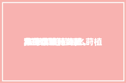 草莓苗盆栽莳植方法本领,盆栽草莓苗怎么莳植和浇水施什么肥。 草莓苗盆栽莳植方法本领,盆栽草莓苗怎么莳植和浇水施什么肥。 种植技巧