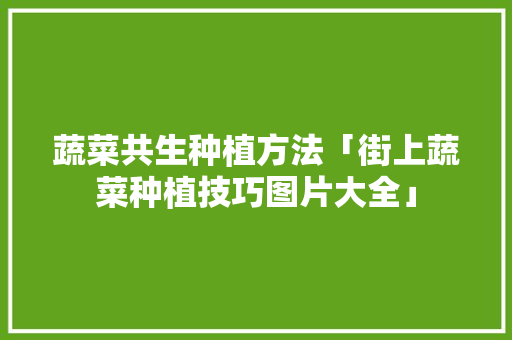 蔬菜共生种植方法「街上蔬菜种植技巧图片大全」 蔬菜共生种植方法「街上蔬菜种植技巧图片大全」 土壤施肥