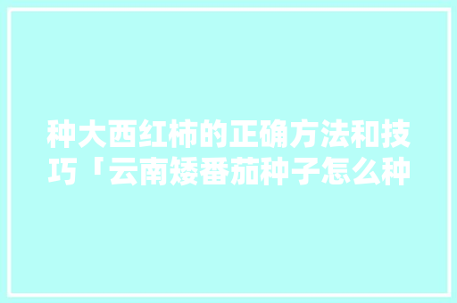 种大西红柿的正确方法和技巧「云南矮番茄种子怎么种植的」 种大西红柿的正确方法和技巧「云南矮番茄种子怎么种植的」 种植技巧