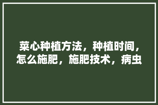菜心种植方法，种植时间，怎么施肥，施肥技术，病虫害「菜心蔬菜种植技巧和方法视频」 菜心种植方法，种植时间，怎么施肥，施肥技术，病虫害「菜心蔬菜种植技巧和方法视频」 土壤施肥
