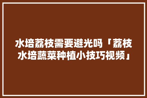 水培荔枝需要避光吗「荔枝水培蔬菜种植小技巧视频」