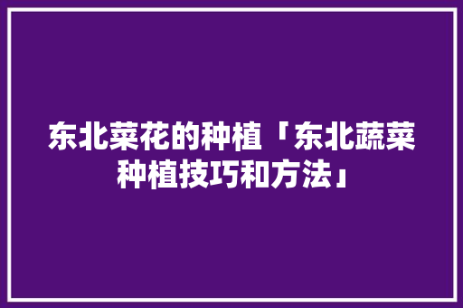 东北菜花的种植「东北蔬菜种植技巧和方法」