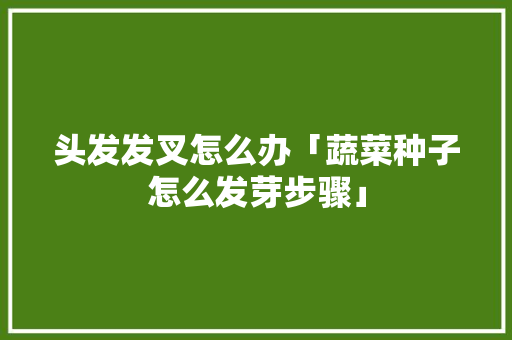头发发叉怎么办「蔬菜种子怎么发芽步骤」