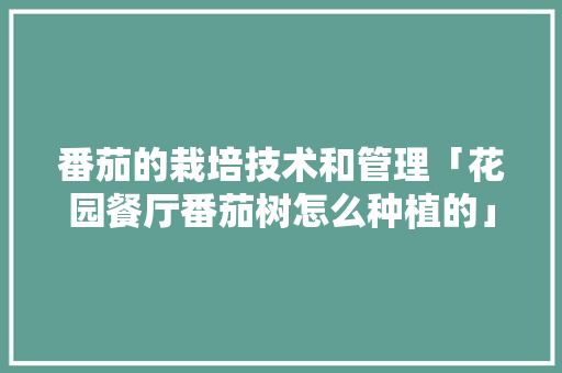 番茄的栽培技术和管理「花园餐厅番茄树怎么种植的」 农业常识 番茄的栽培技术和管理「花园餐厅番茄树怎么种植的」 番茄的栽培技术和管理「花园餐厅番茄树怎么种植的」 农业常识