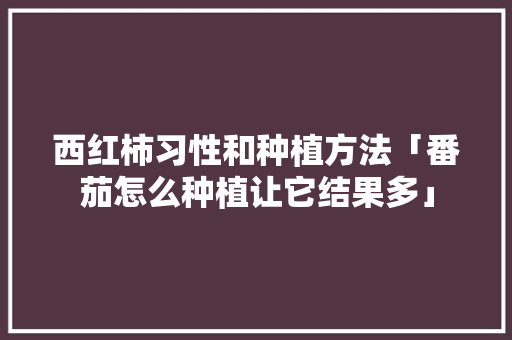 西红柿习性和种植方法「番茄怎么种植让它结果多」 西红柿习性和种植方法「番茄怎么种植让它结果多」 植物种类