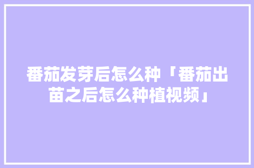 番茄发芽后怎么种「番茄出苗之后怎么种植视频」 番茄发芽后怎么种「番茄出苗之后怎么种植视频」 番茄病虫害防治