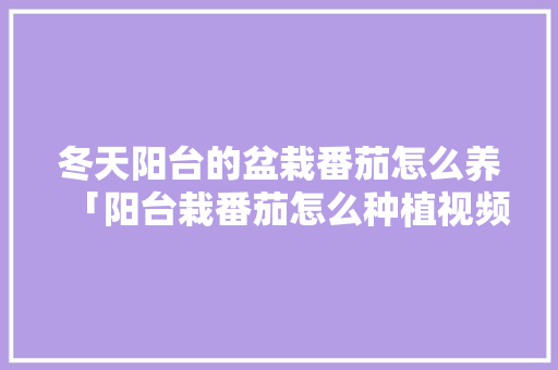 冬天阳台的盆栽番茄怎么养「阳台栽番茄怎么种植视频」 土壤施肥 冬天阳台的盆栽番茄怎么养「阳台栽番茄怎么种植视频」 冬天阳台的盆栽番茄怎么养「阳台栽番茄怎么种植视频」 土壤施肥