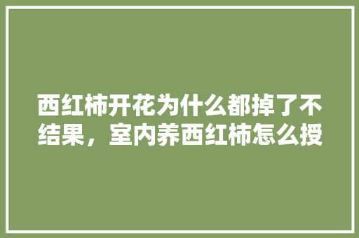 西红柿开花为什么都掉了不结果，室内养西红柿怎么授粉「买了几个番茄怎么种植呢」 西红柿开花为什么都掉了不结果，室内养西红柿怎么授粉「买了几个番茄怎么种植呢」 番茄病虫害防治