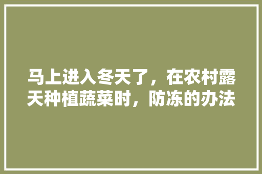 马上进入冬天了，在农村露天种植蔬菜时，防冻的办法有哪些「冬季蔬菜种植小技巧图片大全」 马上进入冬天了，在农村露天种植蔬菜时，防冻的办法有哪些「冬季蔬菜种植小技巧图片大全」 土壤施肥