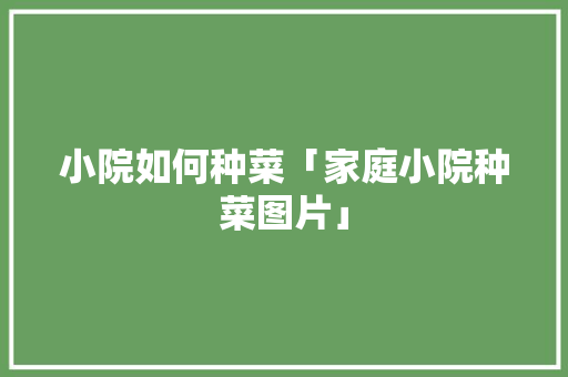 小院如何种菜「家庭小院种菜图片」 小院如何种菜「家庭小院种菜图片」 番茄病虫害防治