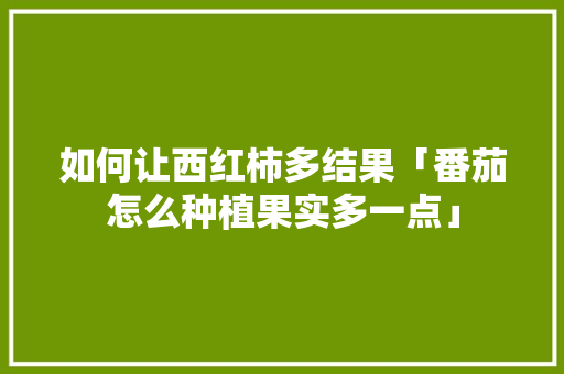 如何让西红柿多结果「番茄怎么种植果实多一点」 如何让西红柿多结果「番茄怎么种植果实多一点」 农业常识