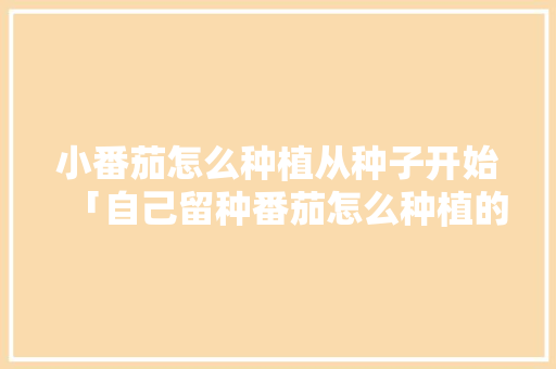 小番茄怎么种植从种子开始「自己留种番茄怎么种植的呢」