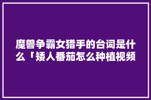 魔兽争霸女猎手的台词是什么「矮人番茄怎么种植视频」