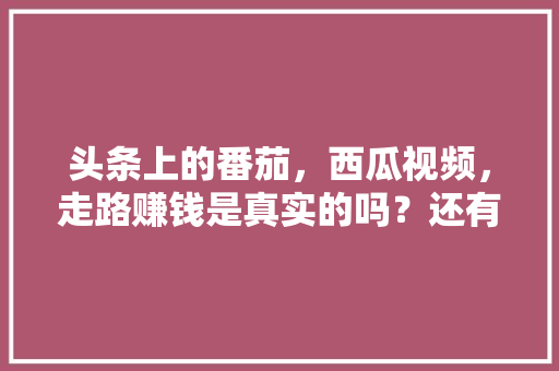 头条上的番茄，西瓜视频，走路赚钱是真实的吗？还有拼多多「番茄种植地怎么整理视频教程」