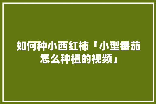 如何种小西红柿「小型番茄怎么种植的视频」 如何种小西红柿「小型番茄怎么种植的视频」 农业常识