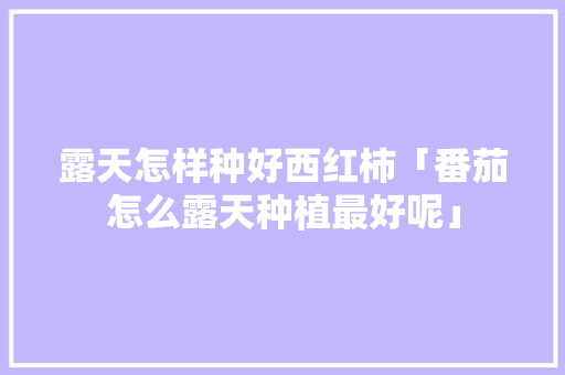 露天怎样种好西红柿「番茄怎么露天种植最好呢」 番茄种植技巧 露天怎样种好西红柿「番茄怎么露天种植最好呢」 露天怎样种好西红柿「番茄怎么露天种植最好呢」 番茄种植技巧