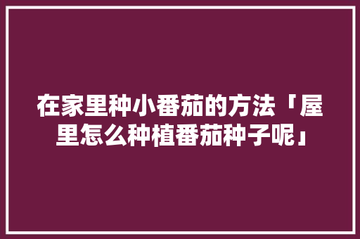 在家里种小番茄的方法「屋里怎么种植番茄种子呢」 在家里种小番茄的方法「屋里怎么种植番茄种子呢」 番茄病虫害防治