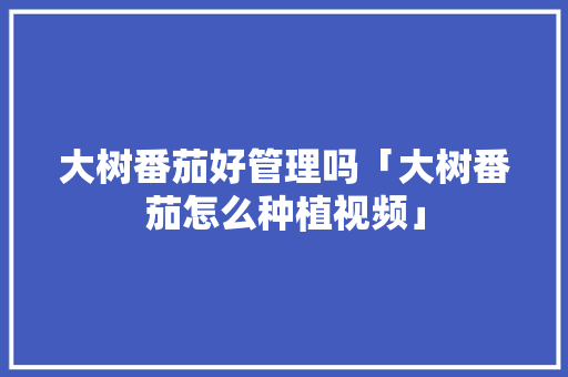大树番茄好管理吗「大树番茄怎么种植视频」 植物种类 大树番茄好管理吗「大树番茄怎么种植视频」 大树番茄好管理吗「大树番茄怎么种植视频」 植物种类
