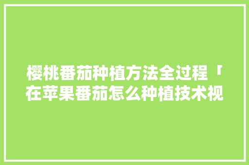 樱桃番茄种植方法全过程「在苹果番茄怎么种植技术视频」 樱桃番茄种植方法全过程「在苹果番茄怎么种植技术视频」 花朵知识