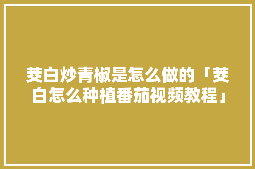 茭白炒青椒是怎么做的「茭白怎么种植番茄视频教程」