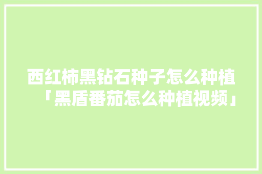 西红柿黑钻石种子怎么种植「黑盾番茄怎么种植视频」 西红柿黑钻石种子怎么种植「黑盾番茄怎么种植视频」 种植技巧